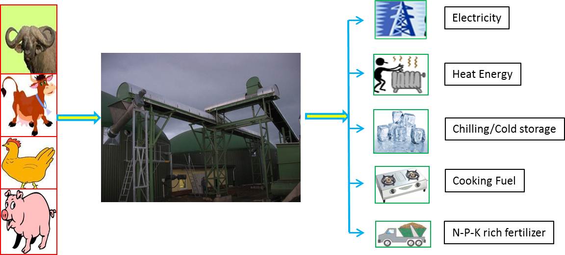  Biomethanation Plants on Animal Waste